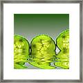 Cool As A Cucumber Slices Framed Print