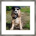 Cool Dog Framed Print