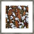 Cool Nature Tapestry Framed Print