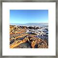 Coquina Carvings Framed Print
