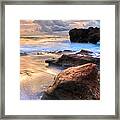 Coral Garden Panorama Framed Print