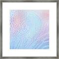 Coral Moods 4 Framed Print