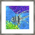 Coral Reef Framed Print