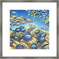 Coral Reef Life Silvers Framed Print