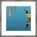 Cormorant Pondering The Eternal Framed Print