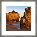 Cormorant Roost Before Sundown Framed Print