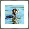 Cormorant With Fish 5461-112617-2cr Framed Print
