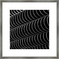 Corn Cob Chicago Abstract Framed Print