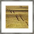 Cornfield Framed Print