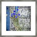 Cornflowers Framed Print