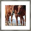 Corolla Horses Vii Framed Print