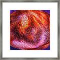 Cosmic Egg Framed Print