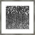 Cotton Abstract In Black And White Framed Print