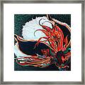 Cotton Boll Framed Print