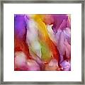 Cotton Candy Framed Print