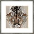 Cougar Framed Print