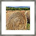 Country Bales Framed Print