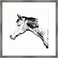 Country Horse Whiteout Framed Print