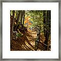 Country Path Framed Print