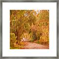 Country Roads 1 Framed Print