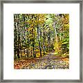Country Roads Framed Print