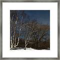 Country Roadside Birch Framed Print