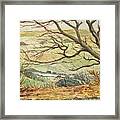Country Scene Collection 2 Framed Print