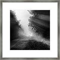 Country Trails Framed Print