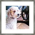 Cousin Theo Is Behind The #wheel And Framed Print