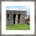 Cow Barn In Ireland Framed Print