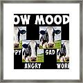 Cow Moods Framed Print