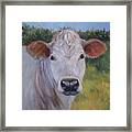 Cow Painting Ms Ivory Framed Print