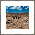 Cowboy Country Framed Print