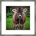 Cowlick Framed Print