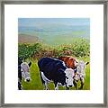 Cows And English Landscape Framed Print