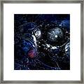 Cradle Of The Universe Framed Print