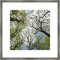 Create Positive Change Framed Print