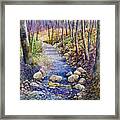 Creek Crossing Framed Print