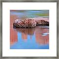 Creek Rocks With Cathedral Rock Reflection Framed Print