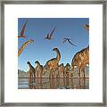 Cretaceous Argentinosaurus Herd Framed Print