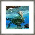 Cretaceous Marine Scene Framed Print