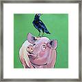 Cromwell The Crow Framed Print