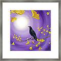 Crow In Ginkgo Leaves Framed Print