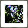 Crow In The Palm Tree 13 Version 2 By Kristalin Davis Framed Print
