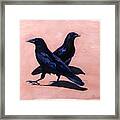 Crows Framed Print