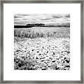 Crunchy Marsh Framed Print