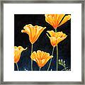 Cups Of Gold Framed Print