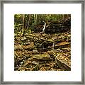 Curtain Falls Framed Print