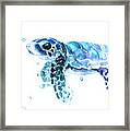 Cute Baby Turtle Framed Print