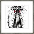 Cuthbert The Cat Framed Print